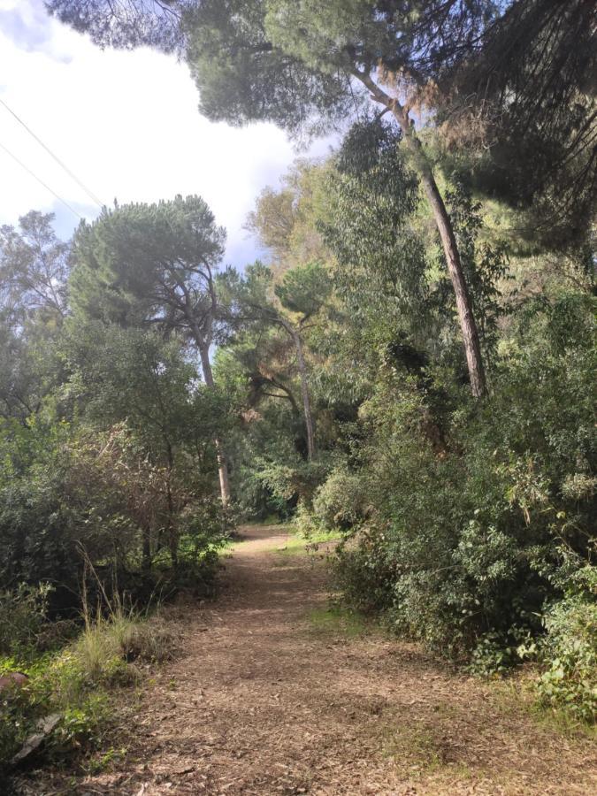 מארבלה Beach Forest Paradise מראה חיצוני תמונה